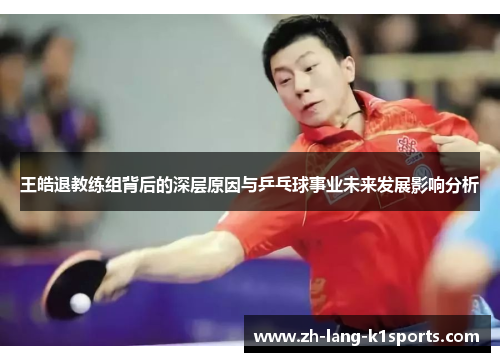 王皓退教练组背后的深层原因与乒乓球事业未来发展影响分析 王皓退教练组背后的深层原因与乒乓球事业未来发展影响分析